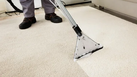 Steam Cleaning